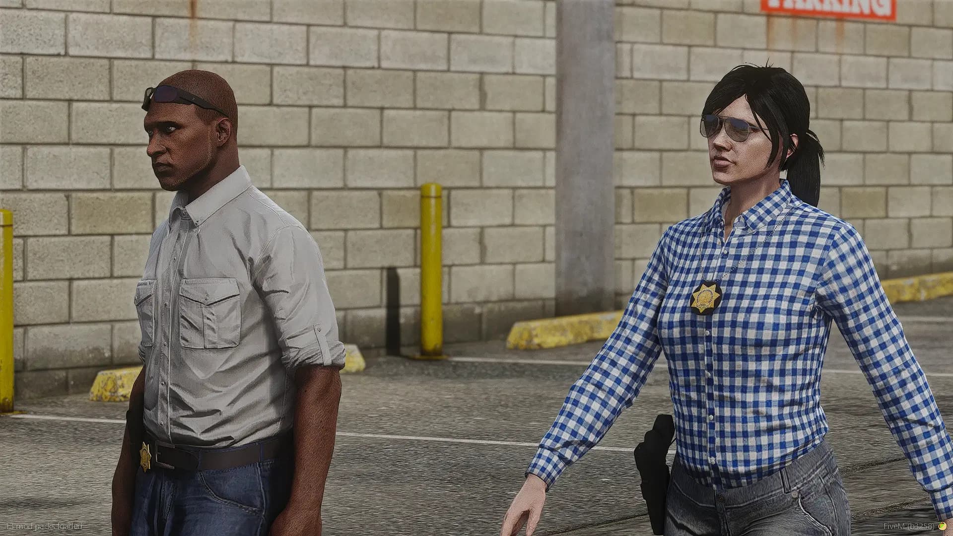 SAHP Badge Pack screenshot 1